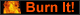 Burn+It+CD+Swap