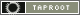 Taproot