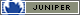 Juniper+Network
