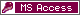 MS+Access