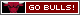 Go+Bulls%21